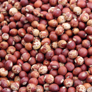 PIGEON PEA (TUR) - BDN-716 (Red)