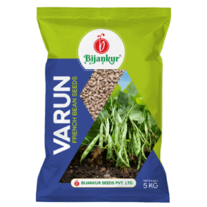 FRENCH BEAN (RAJMA) - Varun