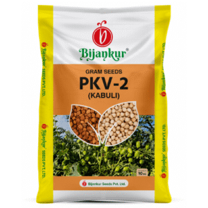 BENGAL GRAM - Kabuli-4