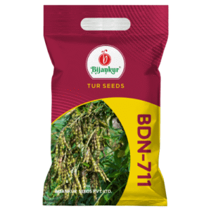 PIGEON PEA (TUR) - BDN-711 (White)