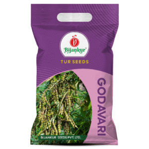 PIGEON PEA (TUR) - Godavari (White)